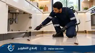 خدمات مكافحة الحشرات في الإمارات